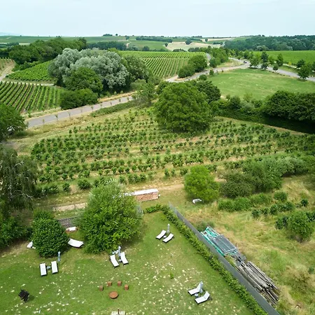 Weinhotel Fritz Walter מלון 3*