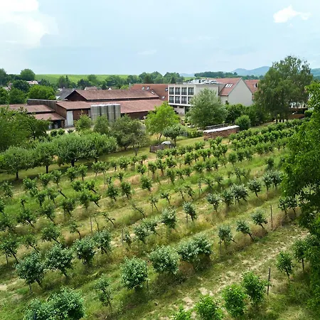 מלון Weinhotel Fritz Walter Niederhorbach