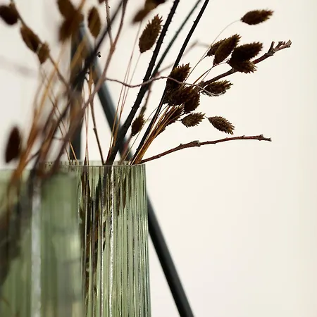 Hotel Weinhotel Fritz Walter Niederhorbach