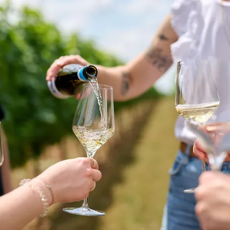 Weinhotel Fritz Walter 3* Niederhorbach