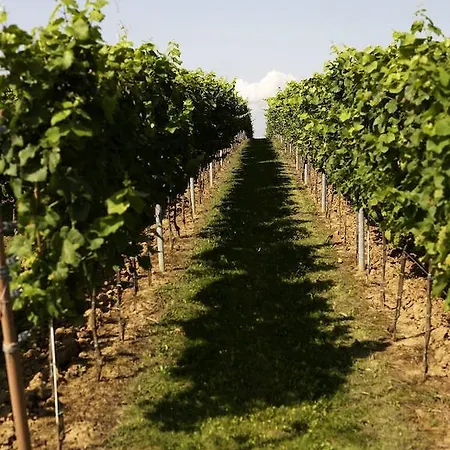 Weinhotel Fritz Walter