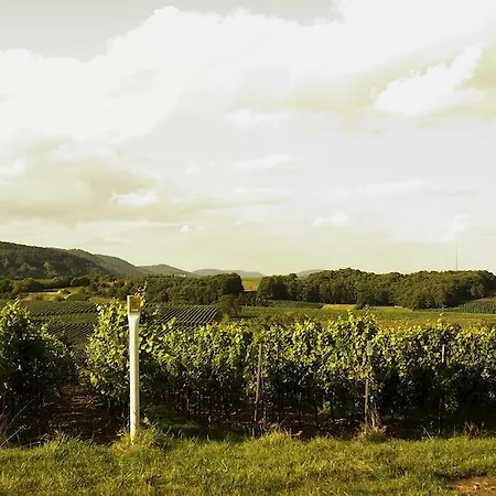 Hotel Weinhotel Fritz Walter