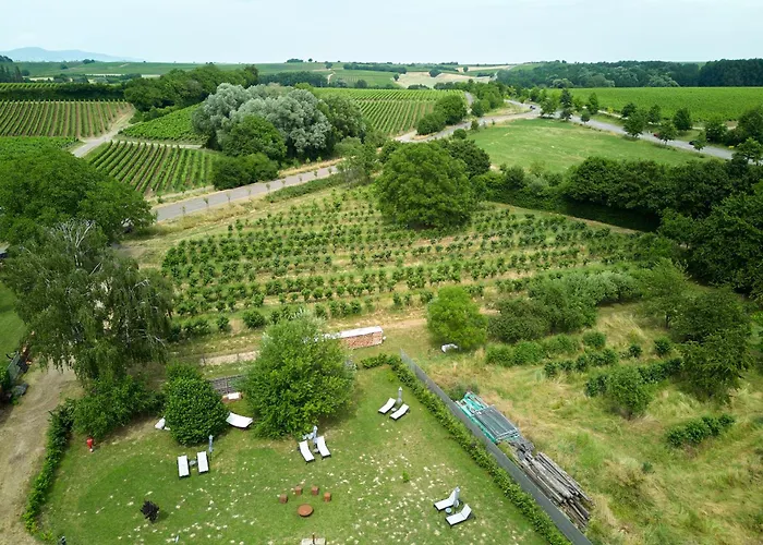 Weinhotel Fritz Walter Hotel 3*