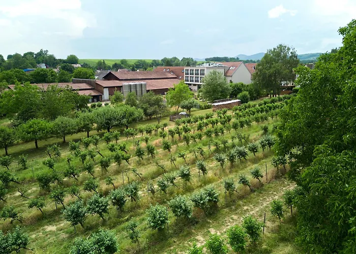Hotel Weinhotel Fritz Walter Niederhorbach