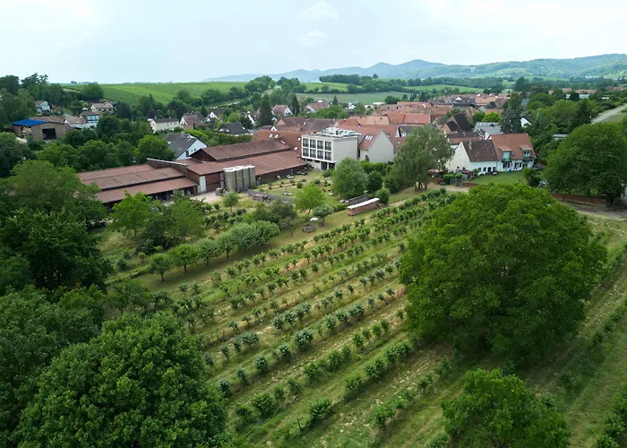 Hotel Weinhotel Fritz Walter 3*