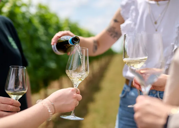 Weinhotel Fritz Walter 3* Niederhorbach