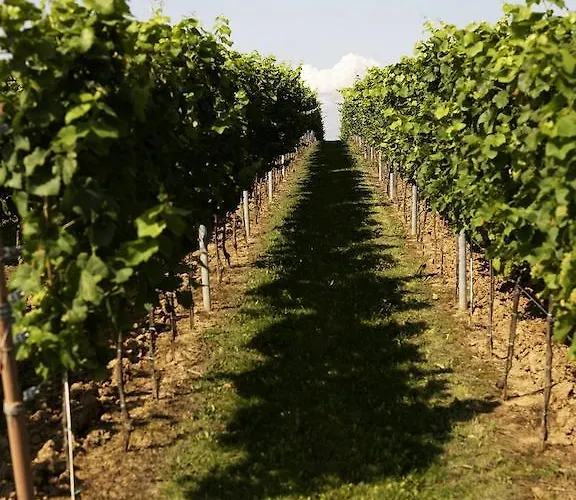 Weinhotel Fritz Walter