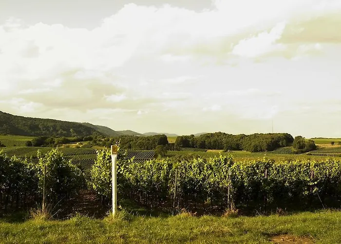 Hotel Weinhotel Fritz Walter