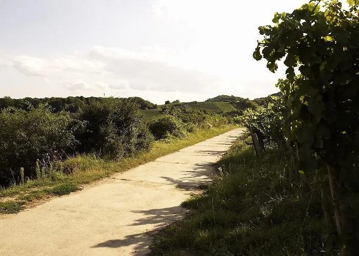 Weinhotel Fritz Walter